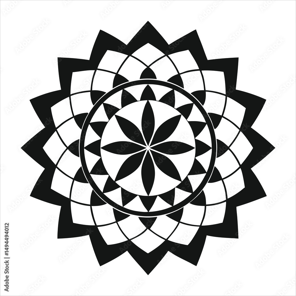 Poster abstract geometric shapes and round ornaments form a vector pattern with floral and ornate circle el