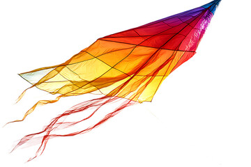 Obraz premium Colorful kite soaring in night sky