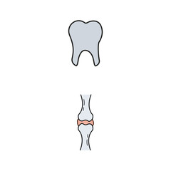 Human Internal Organs Icon Set