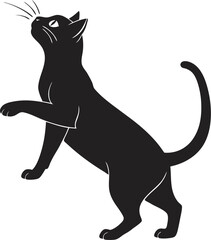 black cat vector