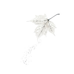 Decomposing Maple Leaf with Glittering Particles - Autumnal Ephemerality