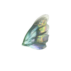 Single iridescent fairy wing, isolated on black background
