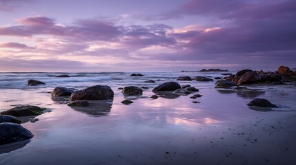 Reflections of a purple-hued sky grace the wet beach, surrounding dark stones that sit peacefully in the tranquil water. Serene scene. .