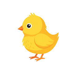 Flat Vector Baby Chick Illustration on White Background