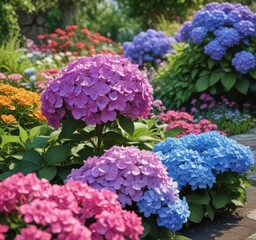 Vibrant hydrangeas amidst colorful blooms, garden ornaments , photography, flowers