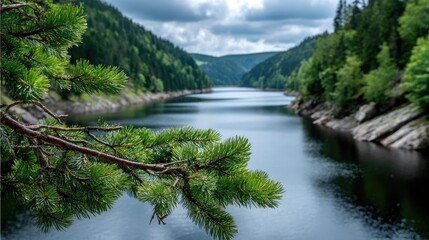 Obraz premium Scenic view of lake in pine forest with water and mountain concept. A serene river scene surrounded by lush green forests.