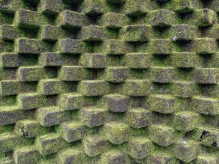 Mossy brick wall for background and design