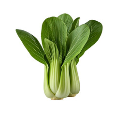 Fototapeta premium Bok Choy: Cultivating and Harvesting this Delicious Green Vegetable for Optimal Growth and Flavor, Exploring its Nutritional Benefits and Culinary Uses.
