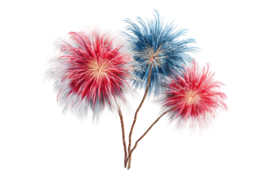 PNG Colorful firework bursts forming tree shape with red, white, and blue bursts