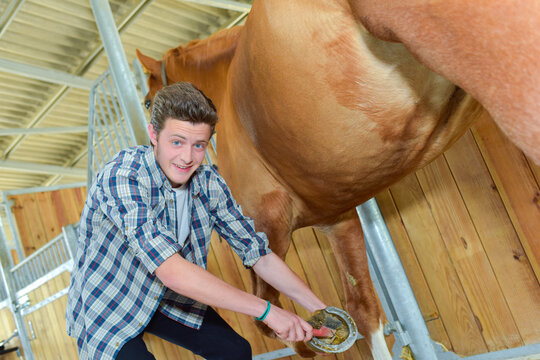 a man is taking care of a horse