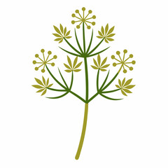 Caraway icon on white background