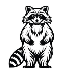 Striking Black and White Raccoon Standing Upright, Forest Animal