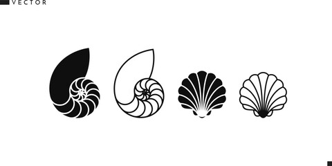 Shell icon set. Sea life vector. Scallop shell and nautilus shell 