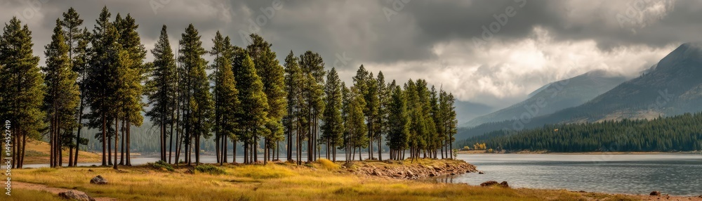 Poster scenic view of lake in pine forest with tree and rock concept. scenic view featuring trees by a tran