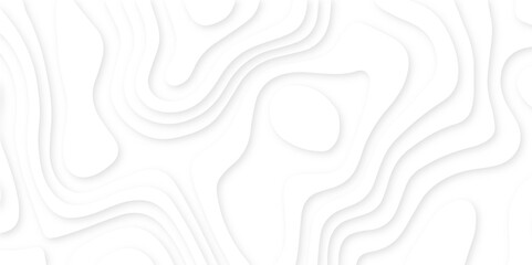 White paper cut art background abstract design for website template, 3d vector banner art paper topography pattern, geometric papercut style wavy background.	