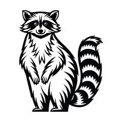 Black and White Raccoon Standing, Detailed Fur, Striped Tail, Mammal