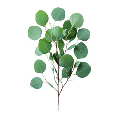 Obraz premium Enhancing wellness through nature eucalyptus leaves arrangement for modern home decor concept indoor serenity and tranquility