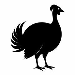 Wild turkey black vector on white background.