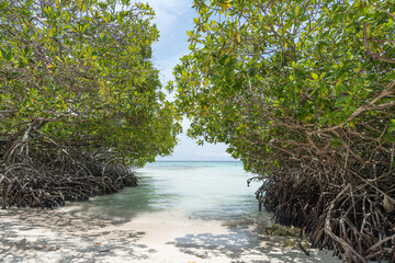 Mangel Halto Beach in Aruba