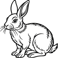 Monochrome Line Art Rabbit Sitting Upright with Detailed Fur Texture and Long Whiskers