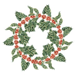 Fototapeta premium Watercolor illustration of a coffee branch with red berries and green leaves wreath. Associated with coffee and tropical plants. Suitable for printing on packaging, postcards, for social networks