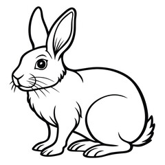 Obraz premium Line Art of Sitting White Rabbit with Detailed Features and Defined Outline