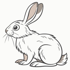 Sitting White Rabbit with Outline, Fluffy Fur, and Long Ears, Cute Animal