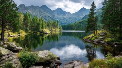 Scenic view of lake in pine forest with tree and rock concept. Tranquil lake surrounded by lush mountains and dense forests.