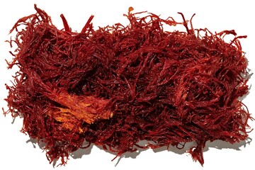 Naklejka premium Pile of dried red seaweed closeup
