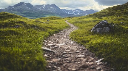 Serene Mountain Path Winding Through Lush Green Grass Fields Scenic Nature Trail Hiking Adventure Journey Peaceful      