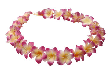 Obraz premium Hawaiian Lei Flower Necklace Isolated on White Transparent Background