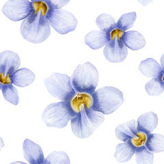 Watercolor purple Thunbergia vine flowers seamless pattern on white. Pastel violet floral plant hand drawn background of blue clockvine trumpet. Vintage botanical floral art of tropical nature