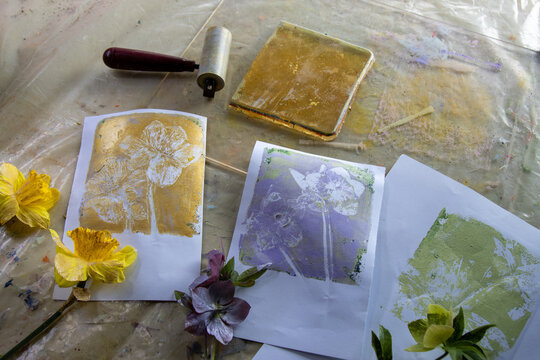 Finished Monoprint Collection from Daffodil and Hellebore Pressi