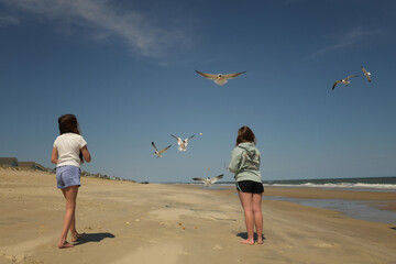 Young sisters feeding seagulls on beach Cape Hatteras National S