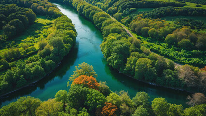 The verdant river weaves its way through the dense forest, presenting a serene aerial view.