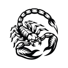 Detailed Black and White Scorpion Illustration, Isolated on White Background, Curled Body