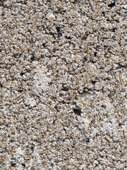 Closeup of Textured Concrete Surface.