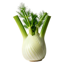 Fennel Bulb: A Detailed Exploration of its Unique Structure, Vibrant Green Fronds, and Culinary Uses, Showcasing its Aromatic Qualities and Nutritional Benefits in Recipes.