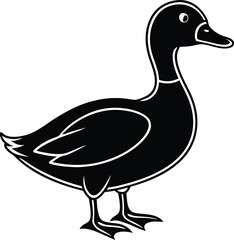 vector illustration of a duck
