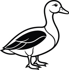 vector illustration of a duck