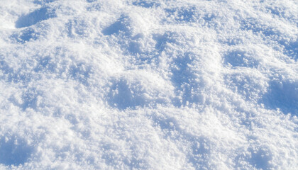 雪が積もっている