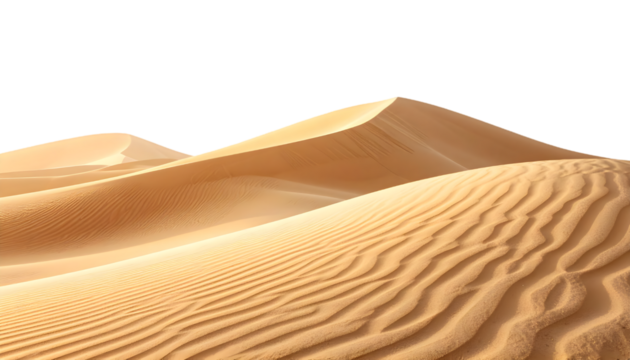 Sand Dune on Transparent Background