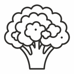 Cheddar Cauliflower outline icon on white background