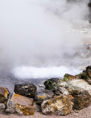 Hot springs in Furnas on Sao Miguel Island. Azores.