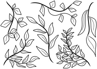 Collection botanical line art suitable for Wedding Invitation, save the date, thank you, or greeting card.