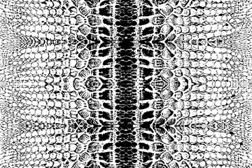 Seamless Black and White Crocodile Skin Vector Pattern