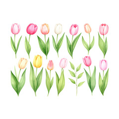 A beautiful spring bouquet of colorful tulips, including pink blooms, showcases the floral beauty of nature