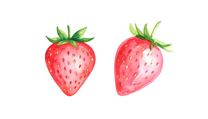 A single ripe red strawberry on a fresh white background
