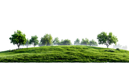 Green hill and trees on Transparent Background