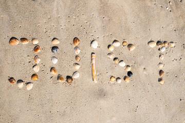 Name of Island Juist formed with mussels on sand